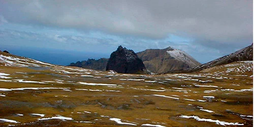 Gough island foto Steven Chown via Wikimedia