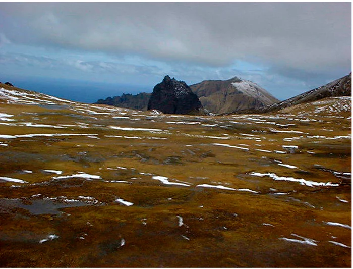 Gough Island. FOTO Steven Chown via Wikimedia