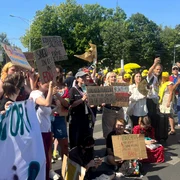 proteste profesori 11 foto adevarul jpg
