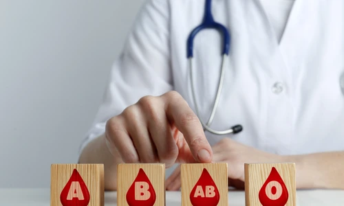 shutterstock 2175821405 jpg