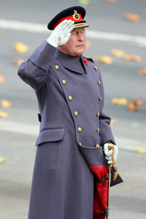 Regele Charles de Ziua Comemorării 2025, Profimedia (2) jpg