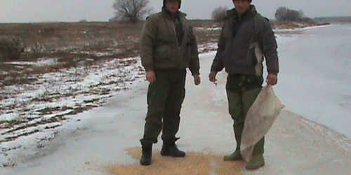 Hrana a fost împrăştiată pe gheaţă