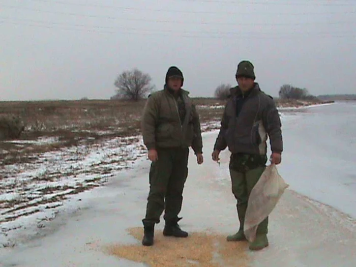 Hrana a fost împrăştiată pe gheaţă