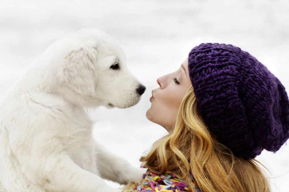 Salariu de 60.000 de lire și casă gratuită. Familia din Marea Britanie care caută „însoțitor” pentru câinele său