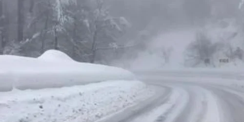 5c419b1fdf52022f75bf94e6 jpg