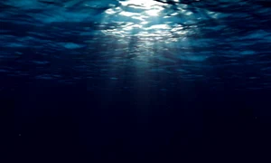 apa ocean mare istock jpg