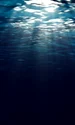 apa ocean mare istock jpg