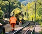 Calea ferată Simeria Petroșani Foto CFR Infrastructură Timișoara (1) jpg