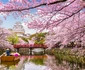 2 japonia ciresi shutterstock 776445706 jpg jpeg