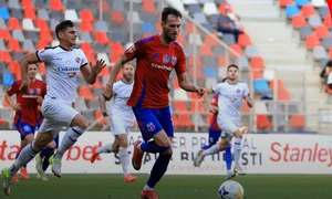 csasteaua jpg