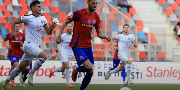 csasteaua jpg
