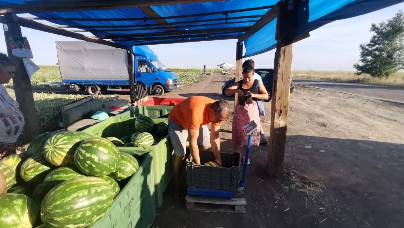 Lubeniţa de la Gottlob este la mare căutare în tot vestul ţării FOTO Ş.Both
