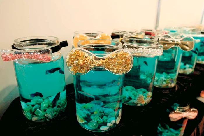 Papioane cu foiţă de aur sau boabe de cafea