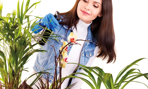 1 64749 original jpg jpeg