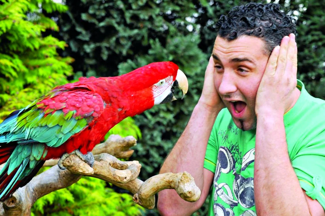 
    "Nu mai înjura!  E ruşinos să foloseşti cuvinte aşa porcoase!" antrenorul Steve  