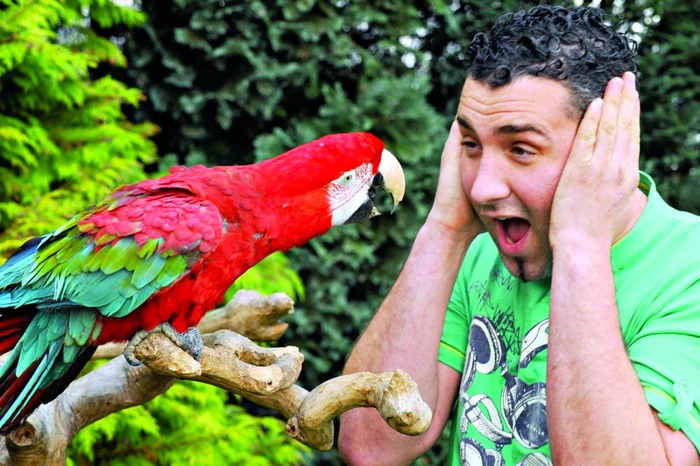 
    "Nu mai înjura!  E ruşinos să foloseşti cuvinte aşa porcoase!" antrenorul Steve  