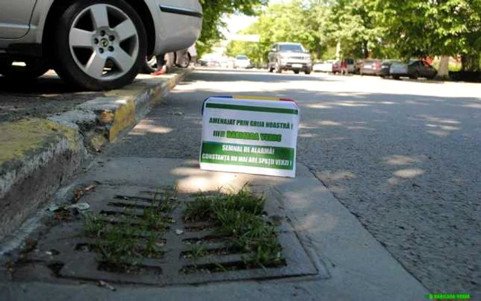 Canalizările verzi. Ecologiştii au semănat iarbă în scurgerile colmatate ale Constanţei Foto Baricada verde