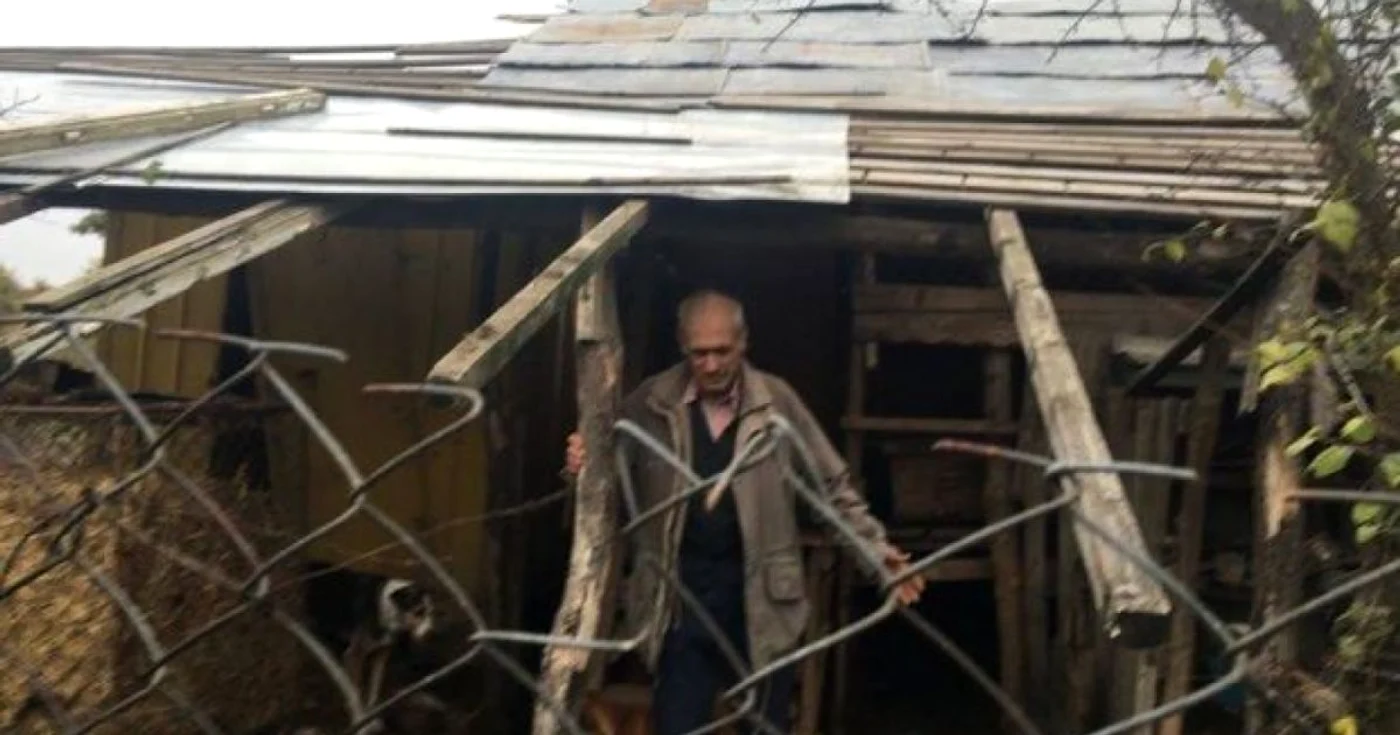 Zeci de câini trăiesc în condiţii inumane
