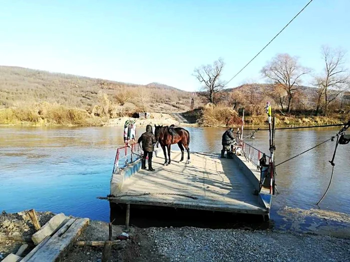 Cu calul de la Timişoara în oraşul Unirii