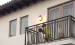 CLIIMA20121127 0018 1 jpeg