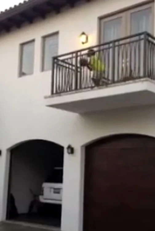 
    Pustiul, in momentul unei aruncari  