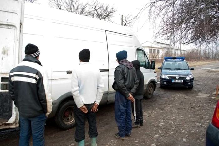Suspecţii, prinşi de jandarmi Foto:IJJ Călăraşi