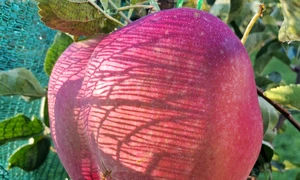 602006046 3347200795445389 4250955847254503103 n jpg