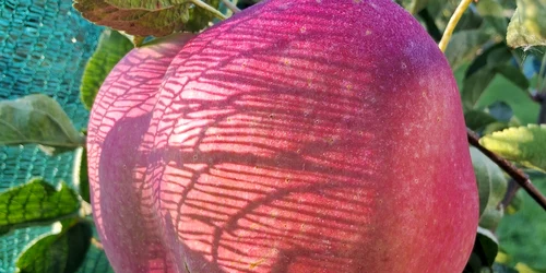 602006046 3347200795445389 4250955847254503103 n jpg