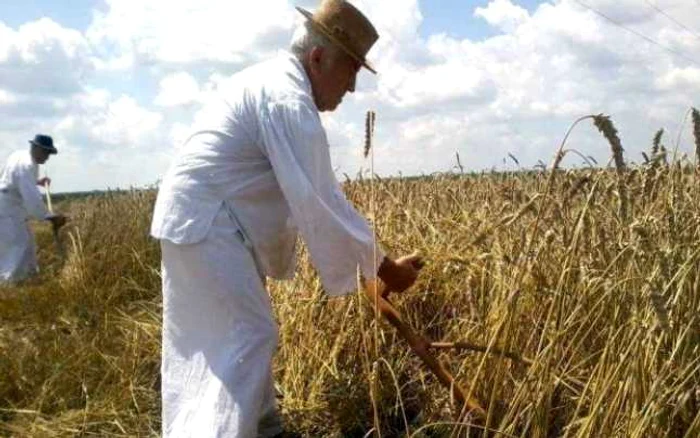 Ţăranii, îndemnaţi să renunţe la agricultură pentru activităţi mai profitabile