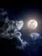 1 luna noapte shutterstock 127982234 jpg jpeg