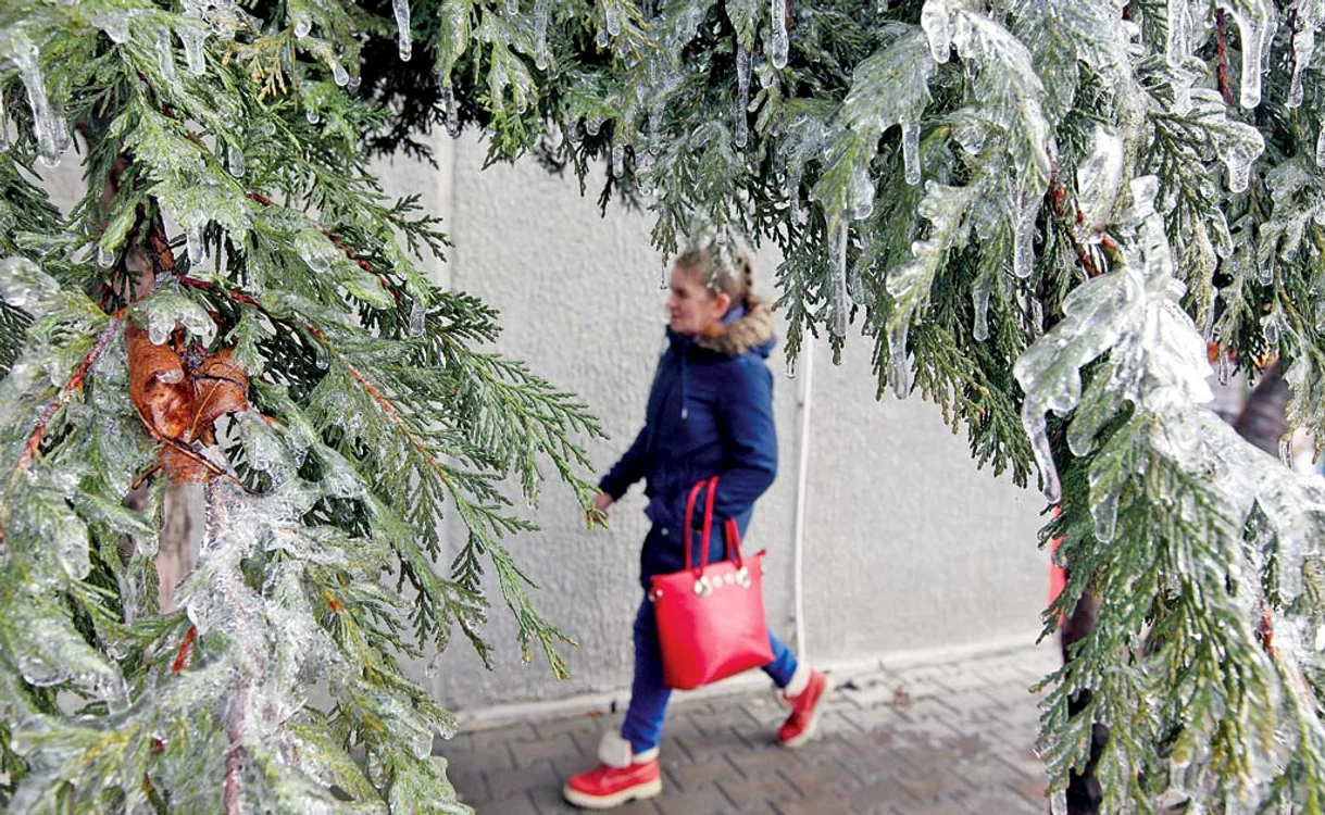 
    Mersul pe trotuar a devenit o adevărată aventură, în condițiile în care crengile pline de gheață se pot rupe în orice moment  