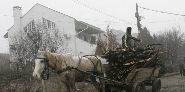 Bărbații încărcaseră căruțele cu lemne furate