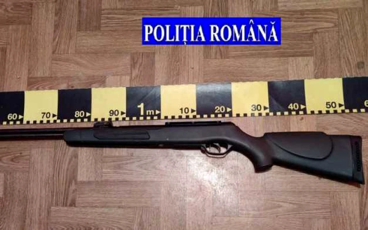 FOTO: IPJ Hunedoara