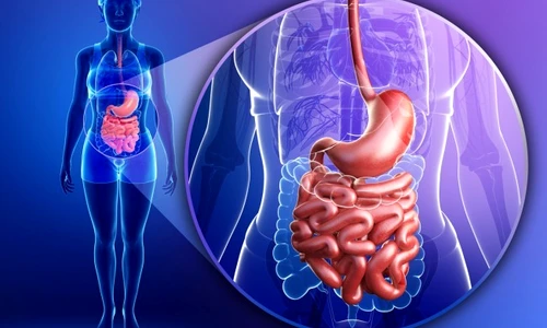 Regim reflux gastroesofagian  Ce alimente sunt recomandate jpeg