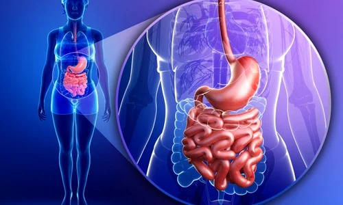 Regim reflux gastroesofagian Ce alimente sunt recomandate jpeg