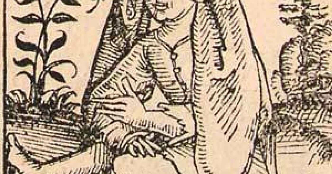 triburi