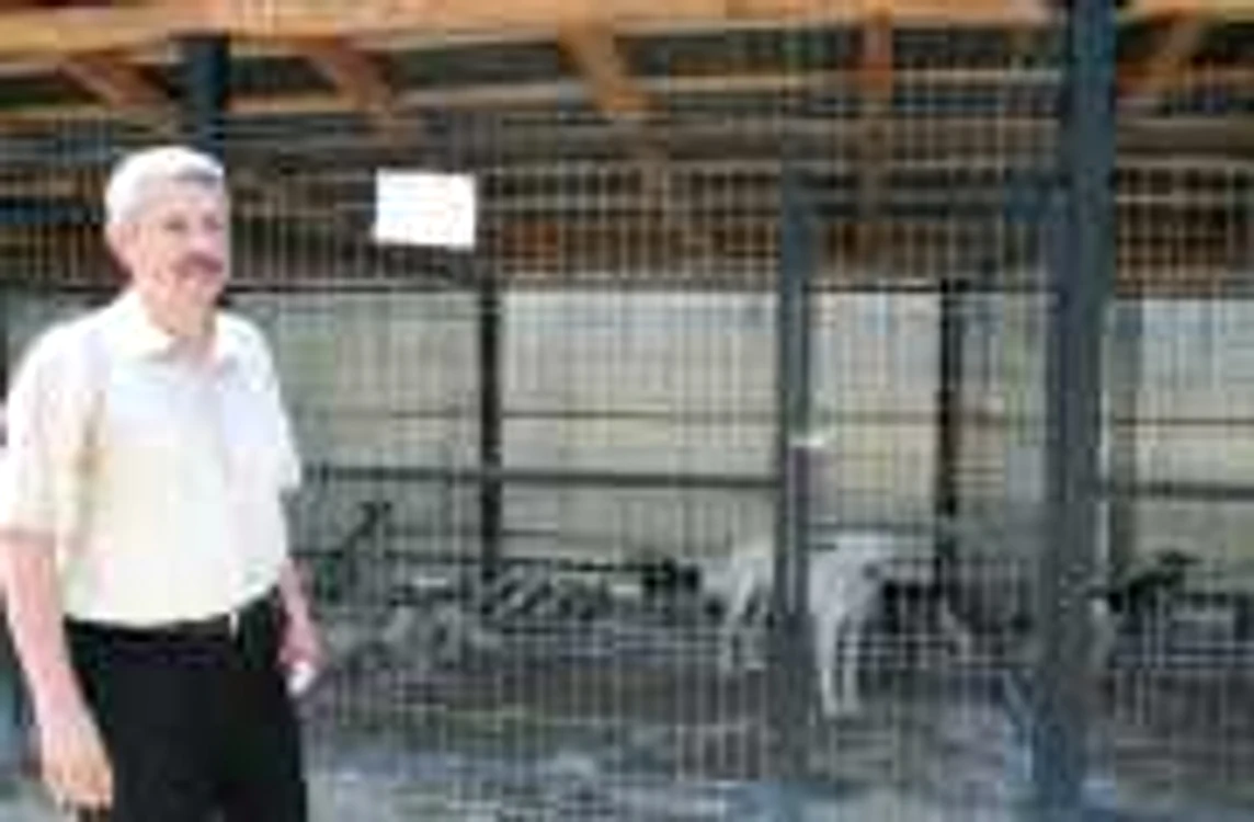 Primarul
Emilian Frâncu consideră că eutanasierea câinilor fără stăpân trebuie să fie ultima soluţie pentru rezolvarea problemelor create de aceştia în Râmnicu Vâlcea. Foto Adevărul
