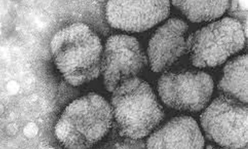 Viruși vechi de 15 000 de ani au fost identificați după topirea ghețarilor tibetani jpeg