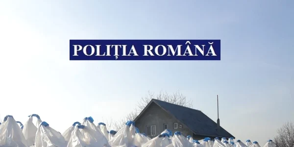 calarasi ingrasaminte