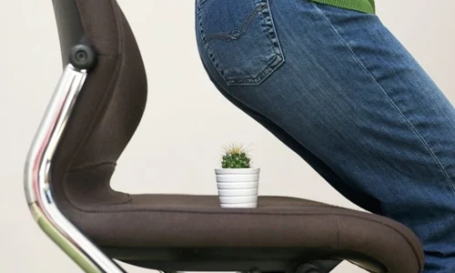 1 hemoroizi jpg jpeg