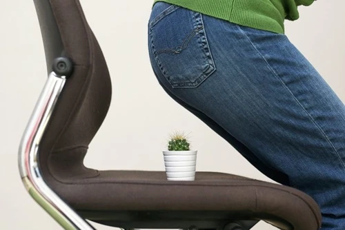 1 hemoroizi jpg jpeg