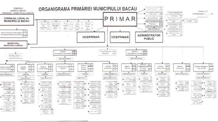 Prin noua organigramă a Primăriei Bacău