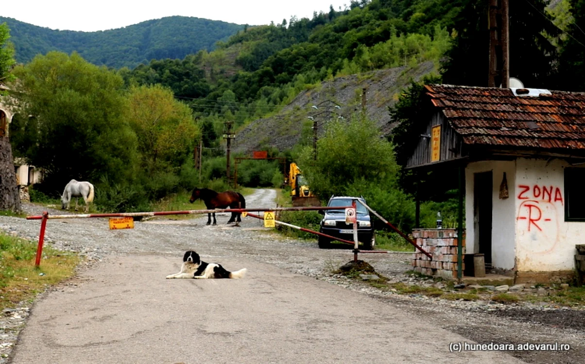 baota plai fosta colonie miniera foto daniel guta adevarul
