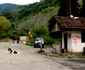 baota plai fosta colonie miniera foto daniel guta adevarul