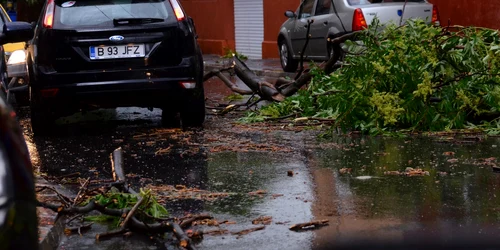 furtuna bucuresti foto adevarul