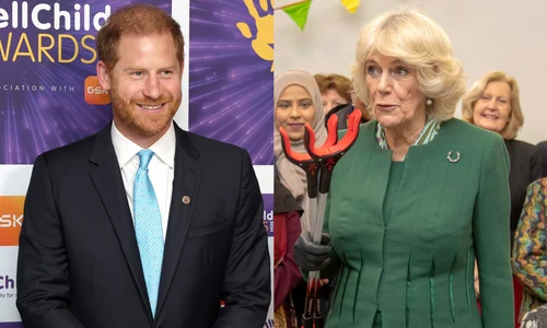 Prințul Harry, Regina Camilla  foto   GettyImages jpg