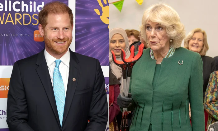 Prințul Harry, Regina Camilla  foto   GettyImages jpg