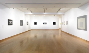 p 7 White Cube WC jpg