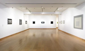 p 7 White Cube WC jpg