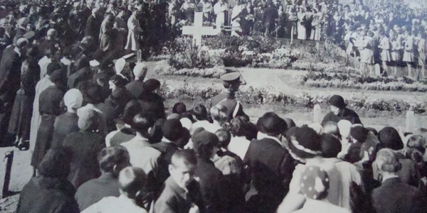 duiliu zamfirescu